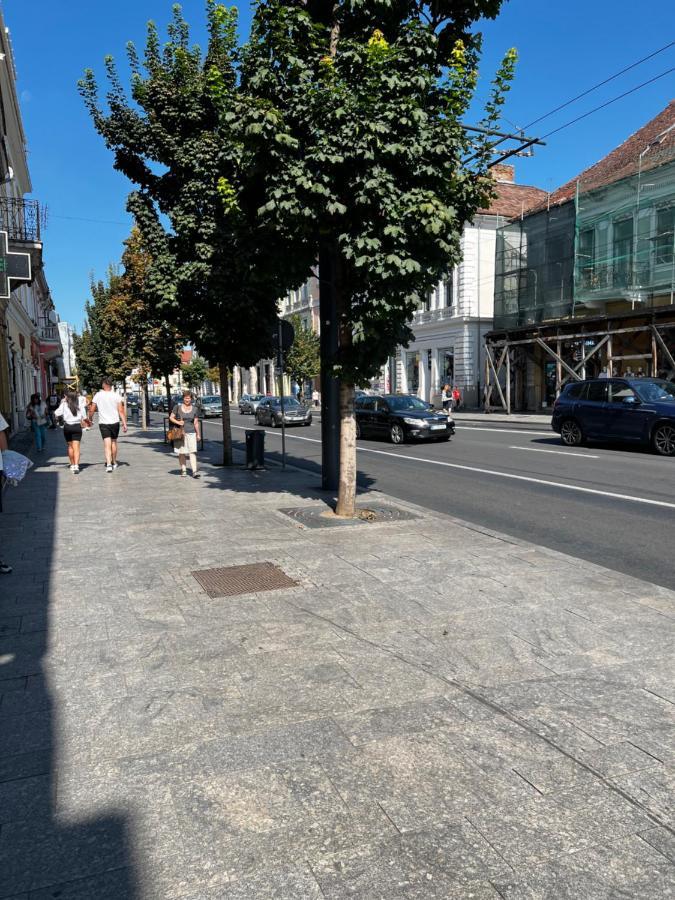 Ndl Downtown Cluj Aparthotel Eksteriør bilde